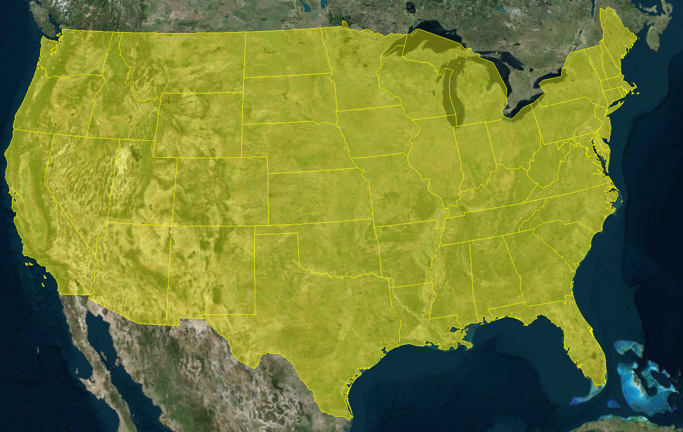 image-20240618095446007