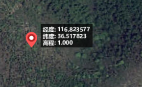 image-20240619163245819